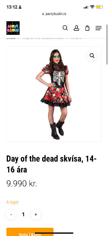 Nýr Búningur day of the dead